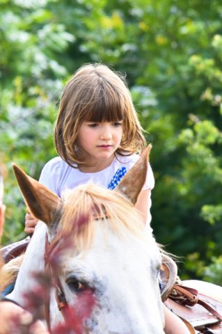 Oasi degli Amici Animali